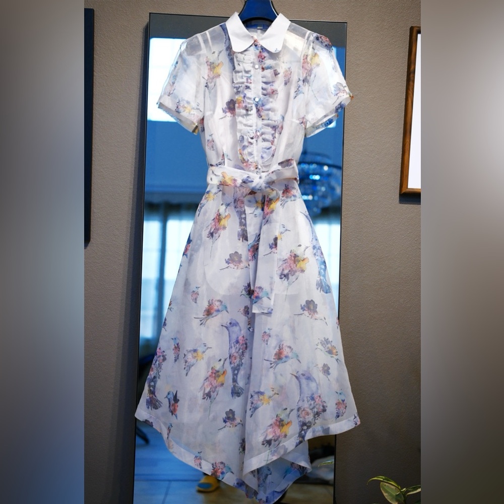 Chic silk Birdy Sheer Dress 2 pics with Belt